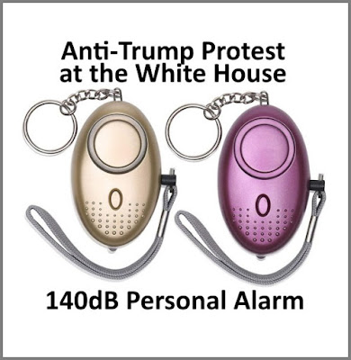 MEME - 140 dB Personal Alarm - Protest at the White House - gvan42