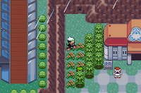 Pokemon Frontier Adventure screenshot 04