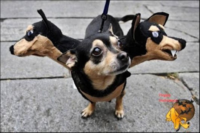 Cute Halloween Doggy Parade 