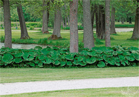 pałac Drottningholm