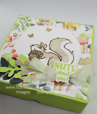 stampin up, nuts about squirrels