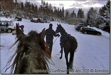 ardvinna-30-12-2011_04