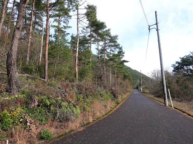 グランソール大山希望ヶ丘 別荘地の道