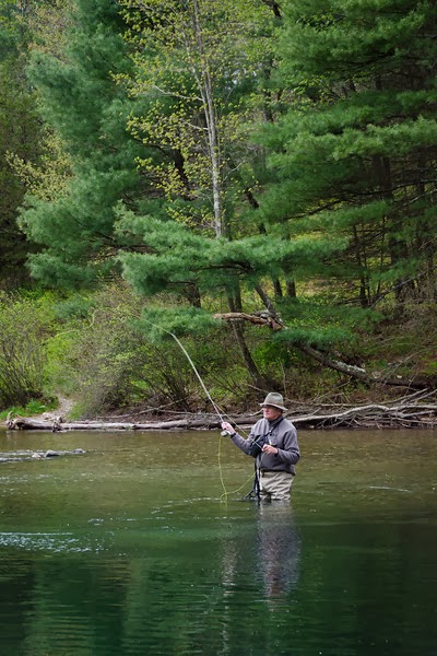 Welcome to the Millers River Fly Fishing Forum : The Perfect Fly Rod