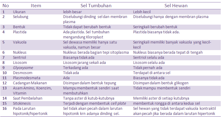  Persamaan  dan  Perbedaan  antara Sel  Hewan  dan  Tumbuhan  