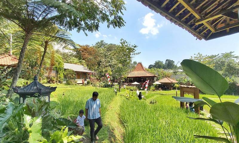 Sawah Segar Resto and Nursery