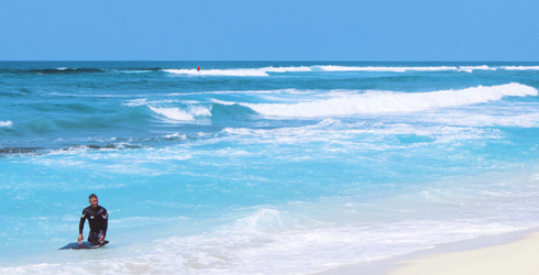 Surfers North Shore Oahu Hawaii