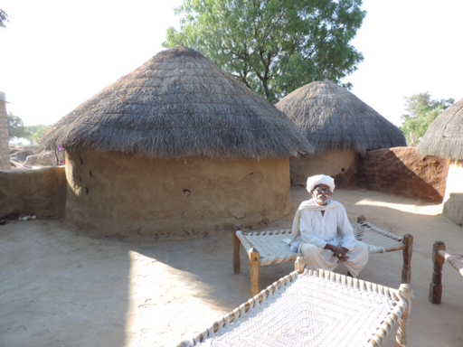 Bishnoi village in Rohat, India