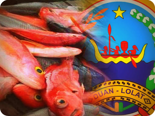 Harga ikan di Pasar Lama Kota Saumlaki, Kecamatan Tanimbar Selatan, Kabupaten Maluku Tenggara Barat (MTB), Provinsi Maluku mengalami kenaikan.