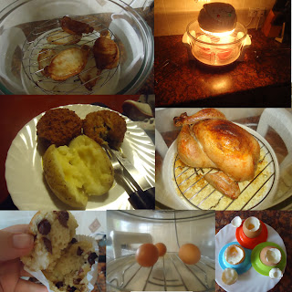 Samples of food I cooked in the Halogen Oven