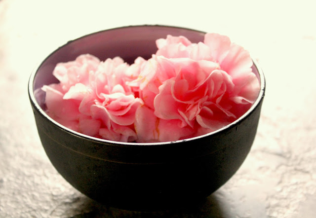 pink camelias + bowl : Wish List- Catherine Masi