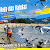 Rota das Baleias - Caminhos do Sertão