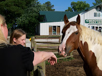 i have many more pics of the ponies, but to me, it is just ponies.