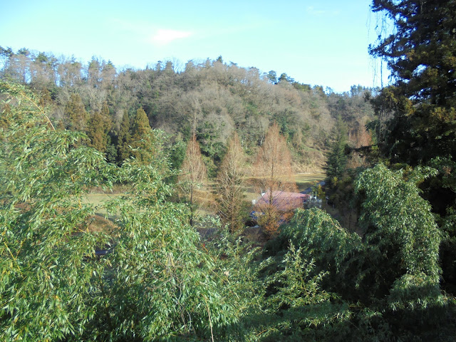 別所川渓流植物園の先の駐車場から別所川渓流植物園の眺望
