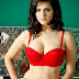 Sunny Leone bra