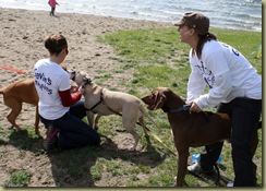 girls and dogs