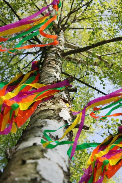 Das Maibaum-Beschaffungsdrama - und die Lösungen: Alles zu kaufen, transportieren, LIEFERN LASSEN