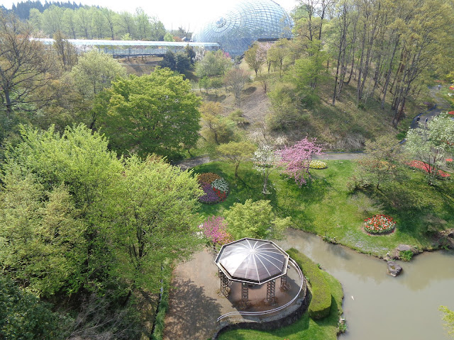 花の谷の風景