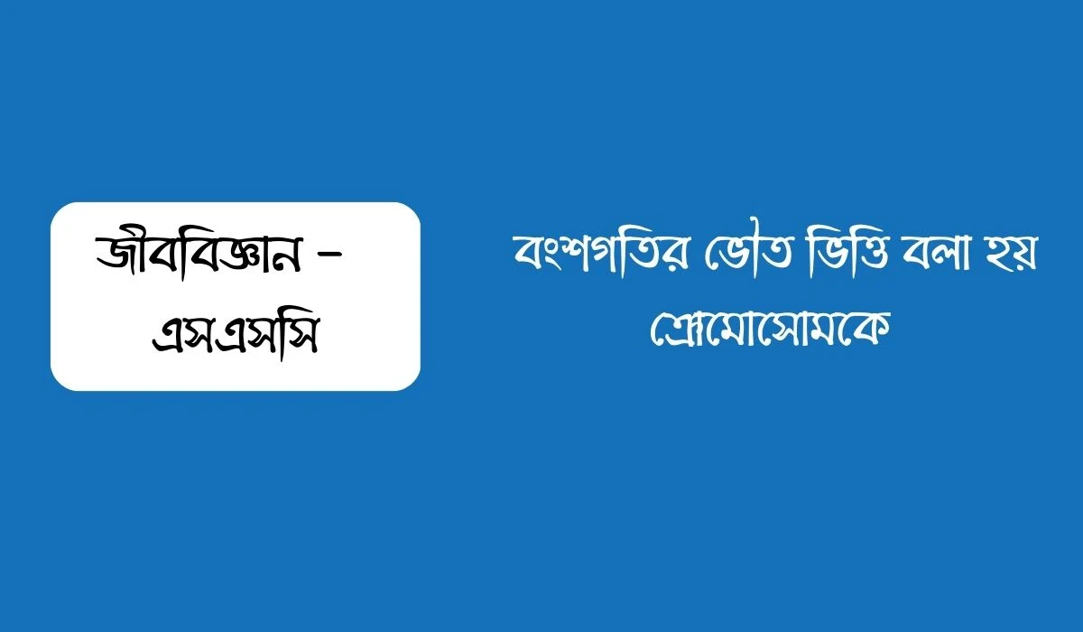 বংশগতির ভৌত ভিত্তি বলা হয় ক্রোমোসোমকে