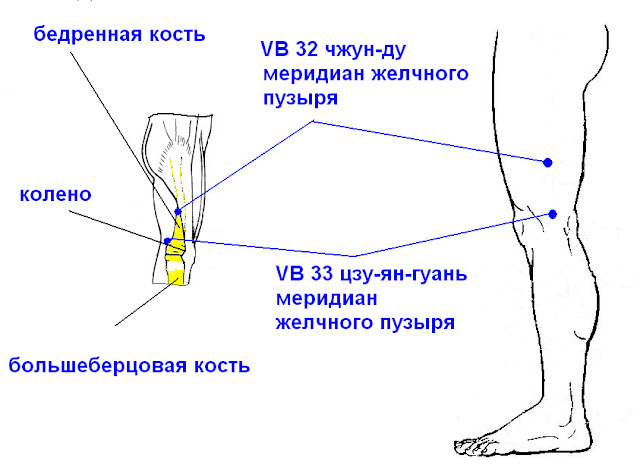 Точка желчь. Точка Чжун Ду. Наружная поверхность бедра. Точки канала желчного пузыря. Меридиан желчного пузыря на стопе.