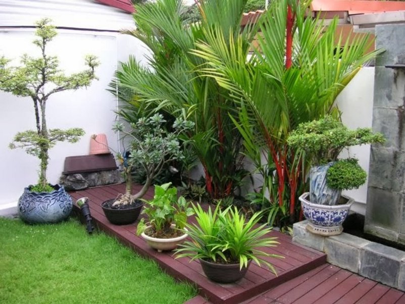 taman minimalis depan rumah type 36 moderen