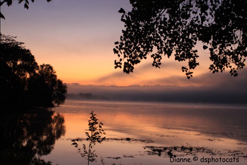 IMG_7875 Morning Arises