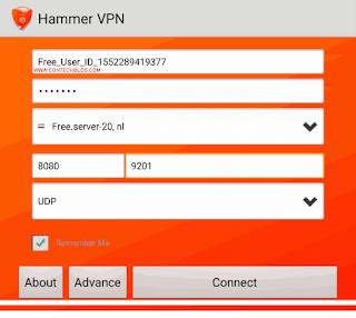 Hammer free browsing settings