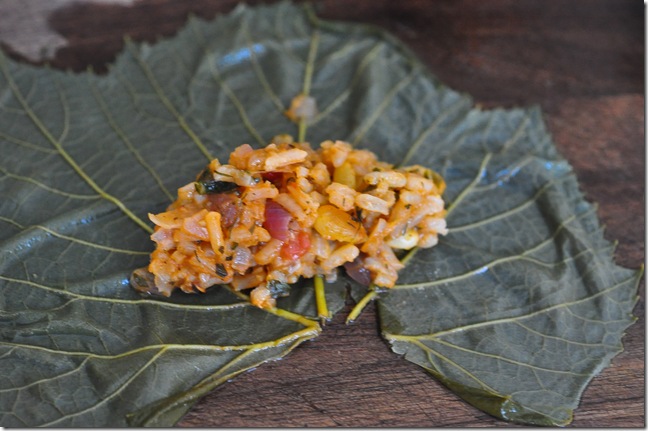 how to stuff a grape leaf