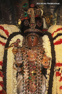 Sri Theliya Singar,Aadhi Sesha, Vahanam , Samrokshanam, 2016, Video, Divya Prabhandam,Sri Parthasarathy Perumal, Triplicane,Thiruvallikeni,Utsavam,