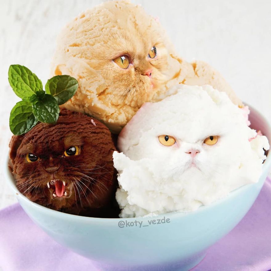 Hilariously Disturbing Pictures Show What Everything Would Look Like If It Had A Cat’s Face