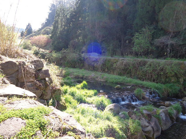 別所川渓流植物園