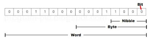 Bits, Bytes, and Words of PLC