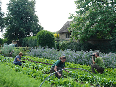 Garden photographer for The English Garden Magazine Jason Ingram