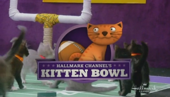 Hallmark Channels Inaugural Kitten Bowl | Daily TV-Shows for You