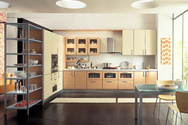 Modern Kitchen Cabinets