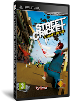 Street+Cricket+champions.png