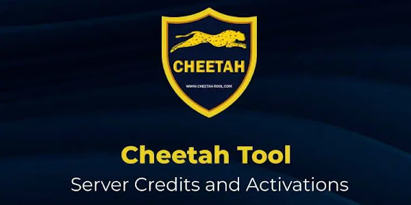 Cheetah Tool Pro Ver 2024,10,10,84 From GCT Pack 