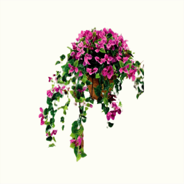 Artificial Hanging Flowers with Basket Png