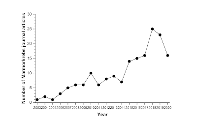 Graph showing journal articles about Marmorkrebs from 2003 to 2020.