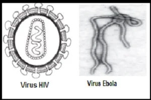 macam - macam virus