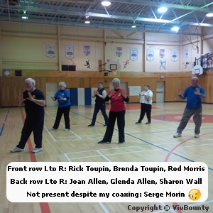 Instructors from Canadian Tai Chi Academy along with practitioners, Brenda Toupin, Rod Morris, Joan Allen, Sharon Wall and Serge Morin kindly demonstrate the first 15 moves.