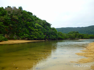 石垣島の吹通川とマングローブ 風景写真（野底-4k）