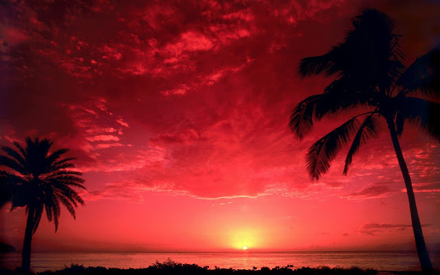 Beautiful South Pacific Sunset