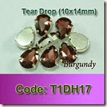 T1DH17 copy