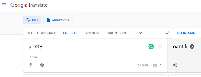 Arti Pretty Google Translate