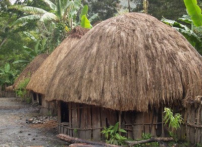 Gambar Rumah Adat Honai Papua