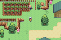 Pokemon Ruby Destiny: Broken Timeline Screenshot 00