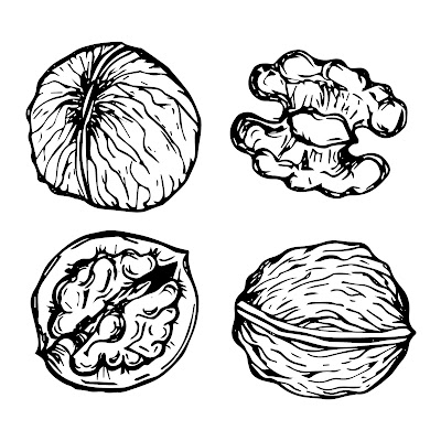 100+ Free Cartoon Images of Walnut dry fruit