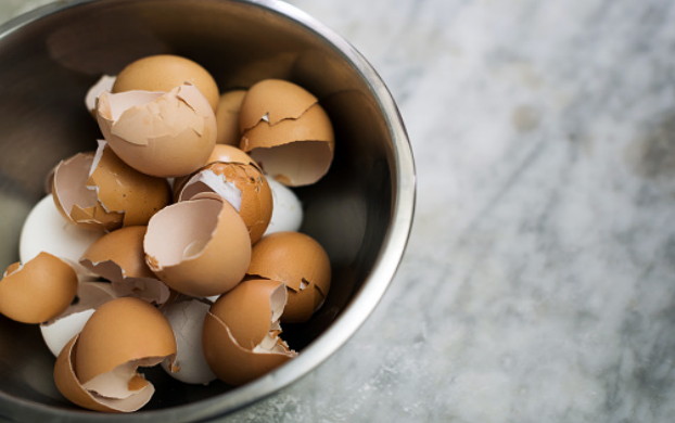 Pemanfaatan Limbah  Cangkang Telur  Sebagai Obat Sakit Maag 