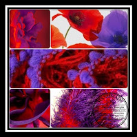 Voorbeelden van helder rood met paars. Examples of bright red with purple.